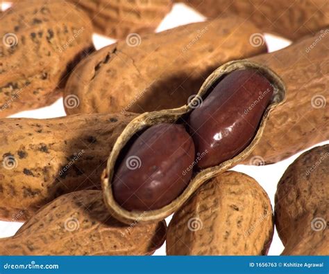 Peanuts In Shell Stock Image Image Of Eating Security 1656763