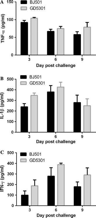 Cytokine Levels In Lungs Of Infected Mice Lung Homogenates Collected