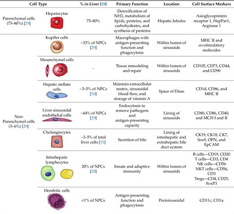 Table 1 From Cell Mediated Therapies To Facilitate Operational