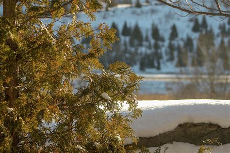 Winter in Upstate New York Photograph by Shannon Abbott - Fine Art America