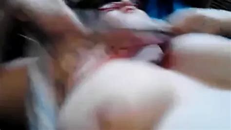 Free Husband Eating Pussy Porn Videos XHamster