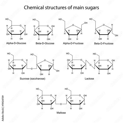 Chemical structures of main sugars mono and disaccharides Stock ベクター