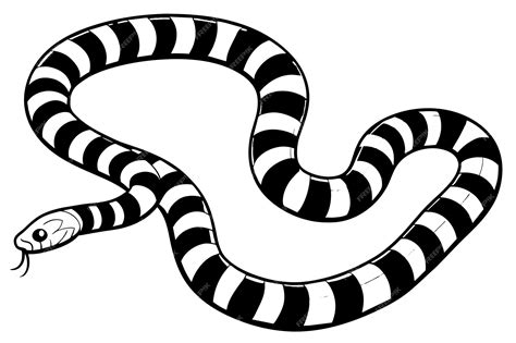 Premium Vector Banded Sea Krait Black And White Vector