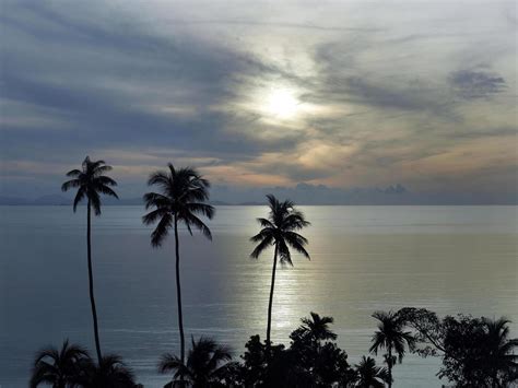 fondo de pantalla de un pacífico amanecer puesta de sol paisaje