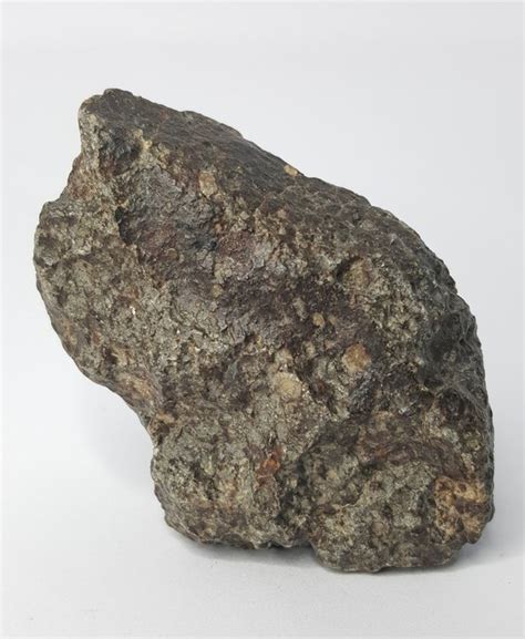 Meteorite Nwa 869 L3 L6 9619 G 1 Catawiki