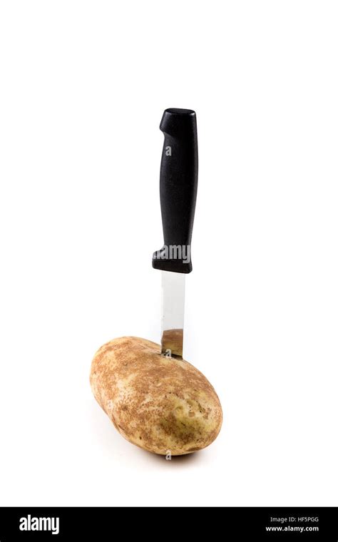 One Potato Stabbed With A Knife Isolated On A White Background Stock