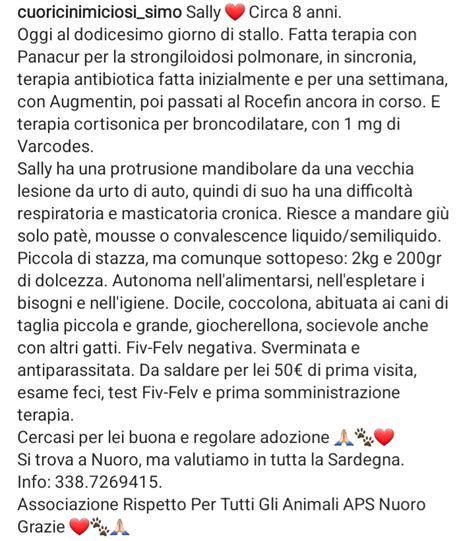 Antonietta Meta Maria Natale Libert On Twitter Rt Zampa Qua