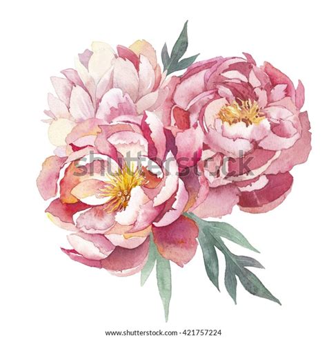 Watercolor Peonies Bouquet Isolated On White Stock Illustration