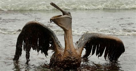 Nine Years Later, the BP Oil Spill’s Environmental Mess Isn’t Gone – Mother Jones