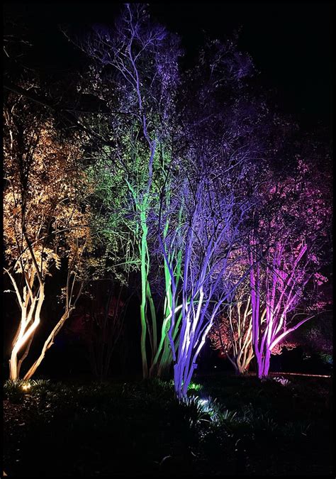 Lightscape 2021 At La Arboretum Two By Travel