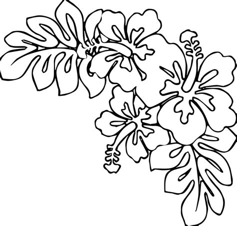 April Shower May Rain Flower Coloring Page Wecoloringpage