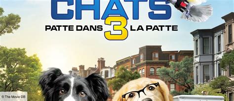 Comme Chiens Et Chats Patte Dans La Patte T L Loisirs