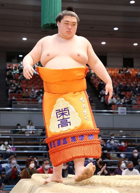 大鵬の孫、王鵬勝ち越し 来場所の再入幕濃厚に「欲を出していきたい」 大相撲写真ニュース 日刊スポーツ