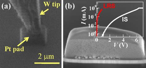 A Sem Images Of Deposited Top Pt Electrode On A Nbo X Layer