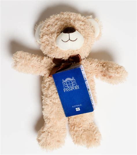 Teddy Bear Passports