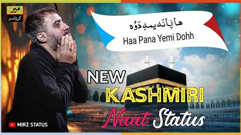 Haa Paan Yemi Doh Dozekh Tavan New Kashmiri Naat Status Kashmiri