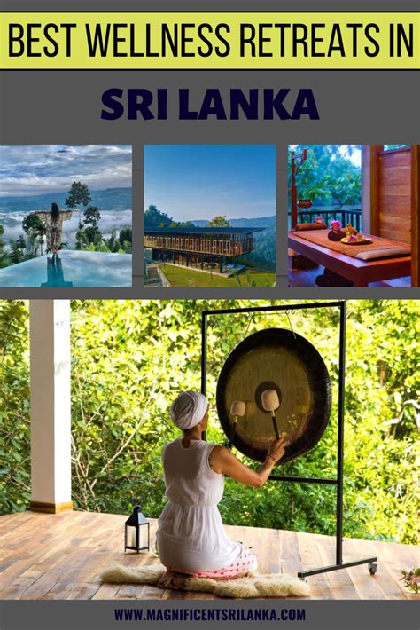 Best Wellness Retreats In Sri Lanka Artofit