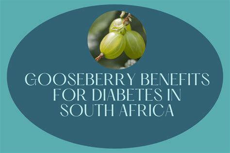 Gooseberry Benefits For Diabetes In South Africa Everything South African