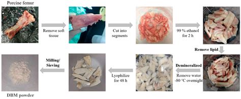 Jfb Free Full Text Preparation And Characterization Of Moldable