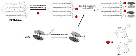 Cimb Free Full Text Targeting Gd2 Positive Tumor Cells By Pegylated