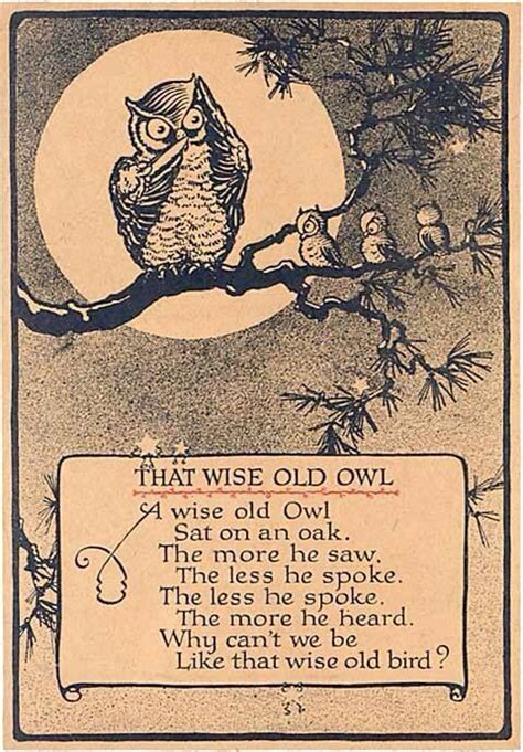 Owl Wisdom Quotes. QuotesGram