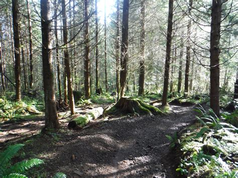 Capitol State Forest Rock Candy Mountain — Washington Trails Association