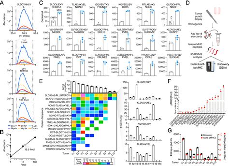 Absolute Quantification Of Tumor Antigens Using Embedded Mhc I