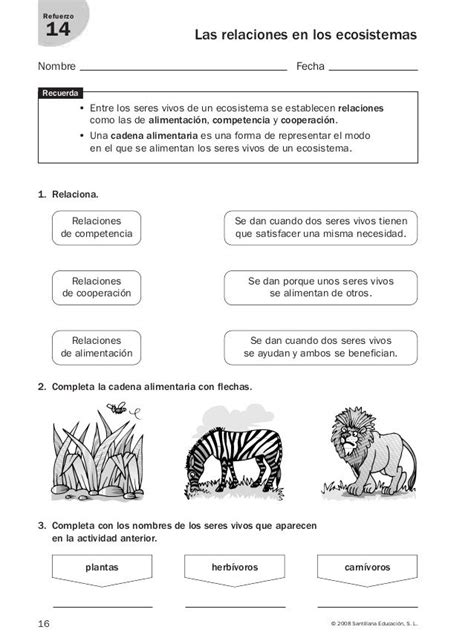 Refuerzo y ampliación conocimiento del medio 4º Ciencias de la