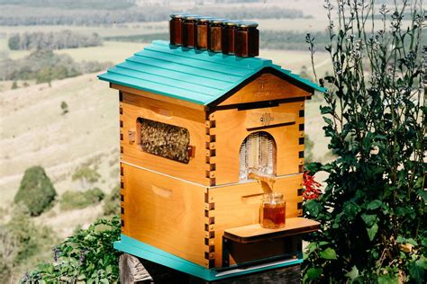 Flow Hive Hybrid Flow Hive Bee Keeping Hives