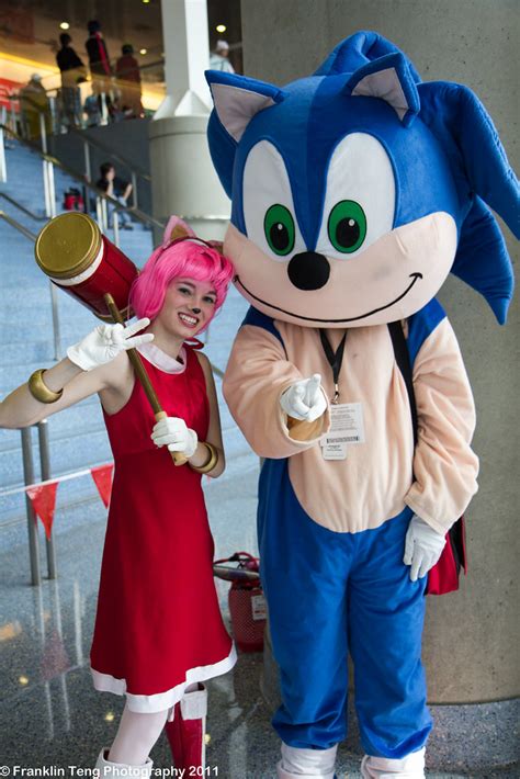 Amy Rose Sonic Boom Costume Discount Dealers Oceanproperty Co Th