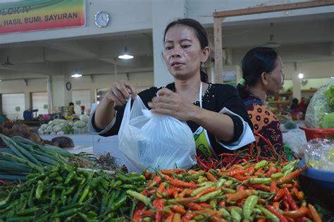 Infopublik Harga Cabai Di Batang Stabil