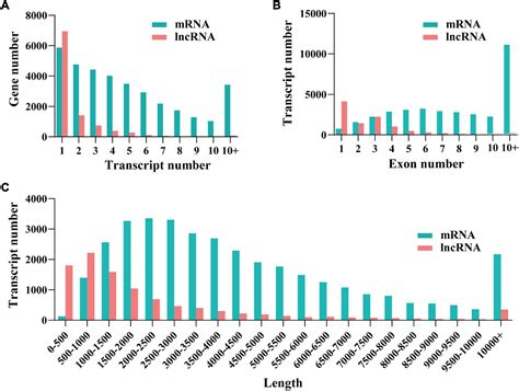 Frontiers Integrative Analysis Of Lncrna Mrna Co Expression Provides