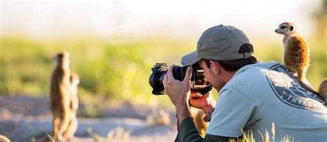 12 Wildlife Photography Workshop Leaders You Should Follow