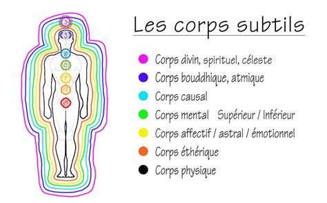 Les Diff Rents Corps D Nergie L Energie Libre Et Universelle Du Reiki