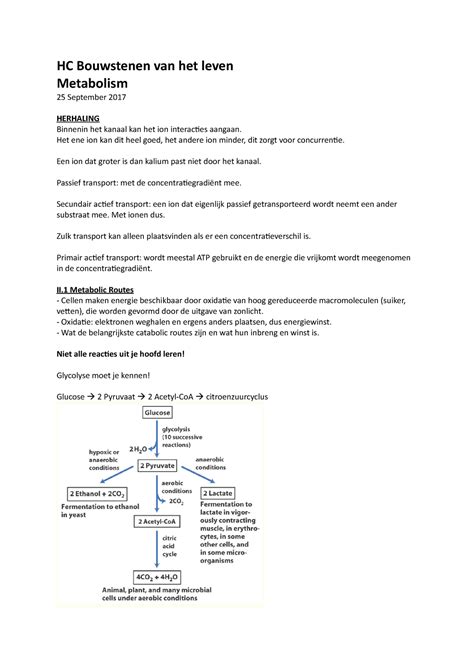 Hoorcollege Metabolism HC Bouwstenen Van Het Leven Metabolism 25