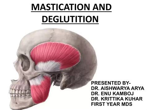 Mastication And Deglutition PPT