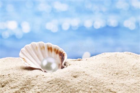 Pearls In Shell Wallpaper