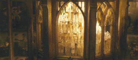 Pensieve Harry Potter Wiki Wikia
