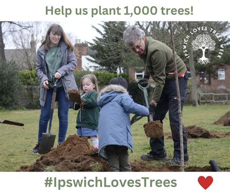 Ipswich Borough Council On Linkedin Ipswichlovestrees