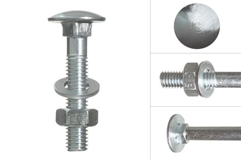 Carriage Bolts Galvanized M X Quick Delivery Wovar