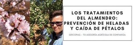 Los Tratamientos Del Almendro Prevenci N De Heladas Y Ca Da De P Talos