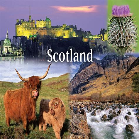 Medium Postcard Scotland Pack Of 50 Island Blue