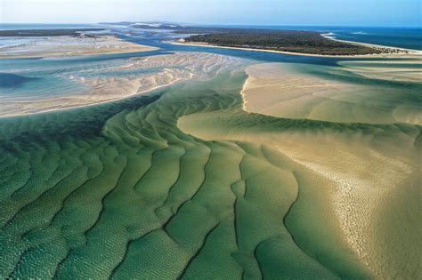 Moreton Bay The Bay Of Plenty Australian Geographic