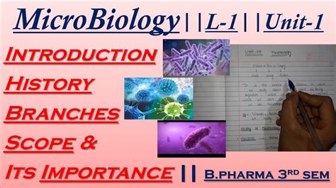 Microbiology History Branches Scope And Importance Riset