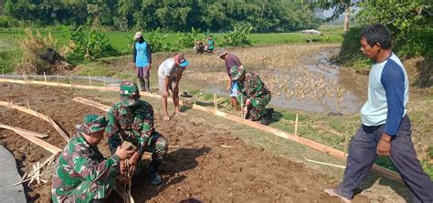 Permudah Angkut Hasil Tani Babinsa Koramil Mojosongo Bantu Betonisasi