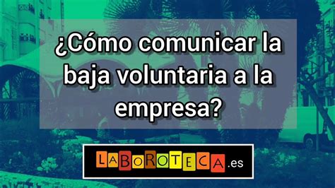 Cómo redactar una carta tipo para baja voluntaria en 5 minutos