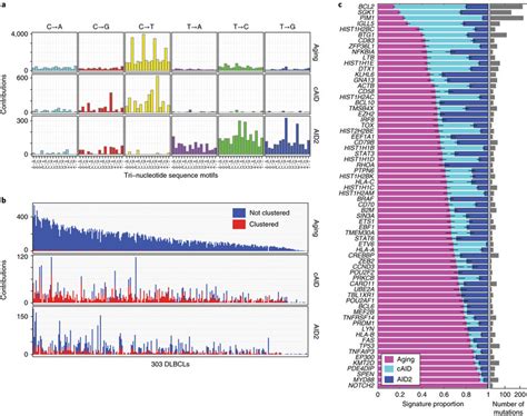 Mutational Signatures Operating In Primary Dlbcls A Mutation Signature