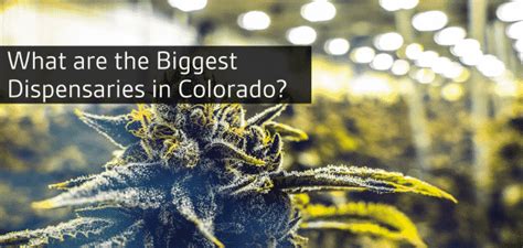 What Are The Biggest Dispensaries In Colorado Cannasseur