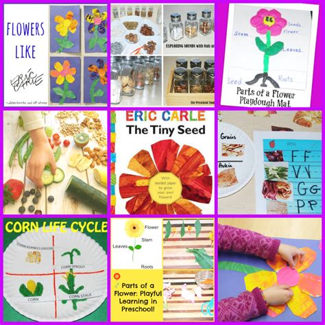 Eric Carle Theme And Author Study Activities For Preschool • The