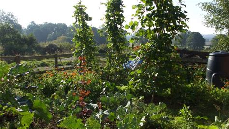 Oak House Permaculture Project Permaculture Association